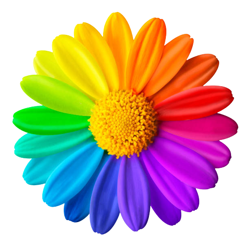 Zengin Renk ve Yüzey Seçenekleri